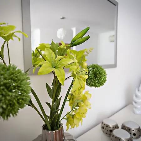 Gardenia * سانتا لوزيا